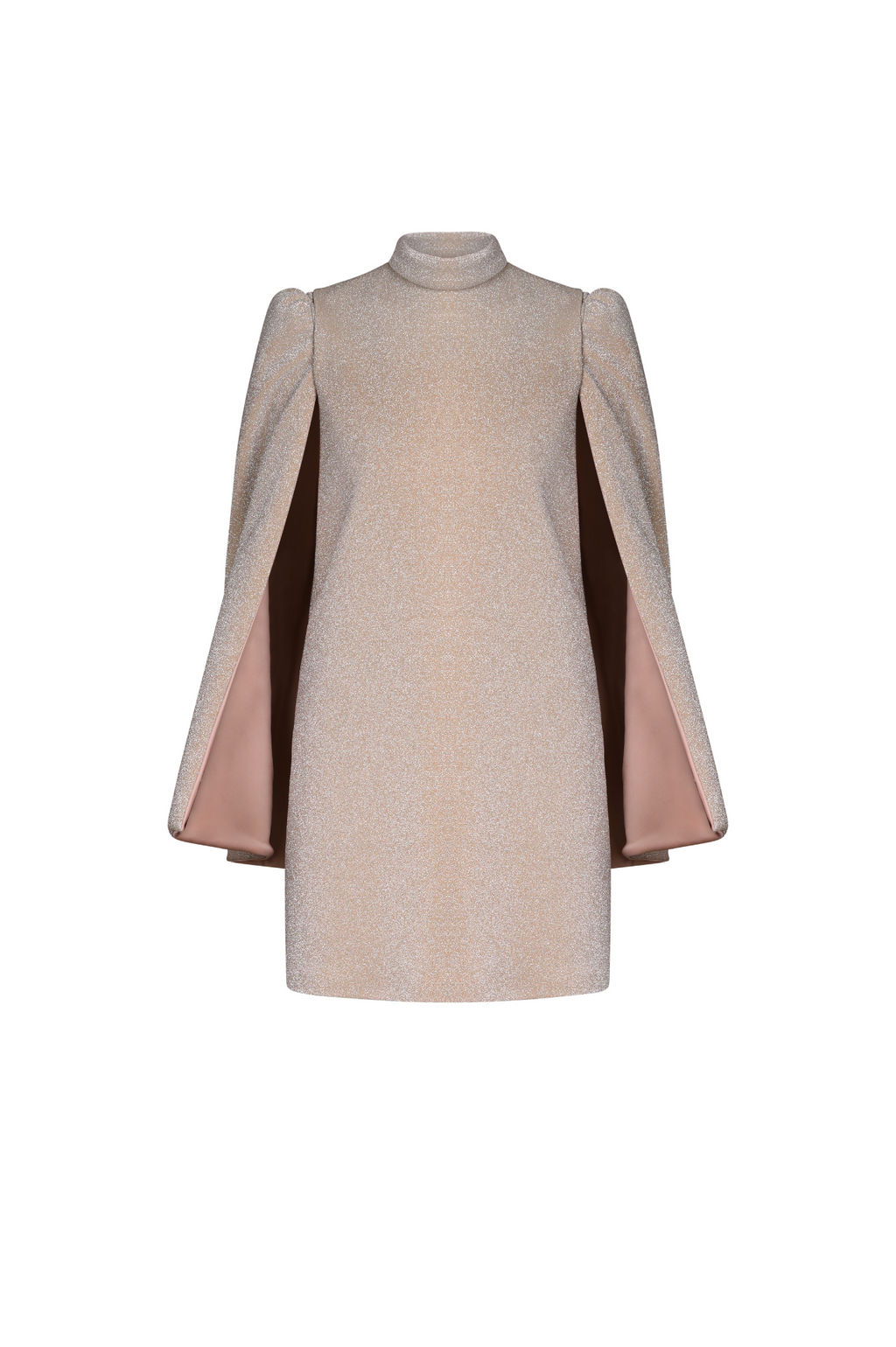 Sable Removable Sleeves Mini Dress
