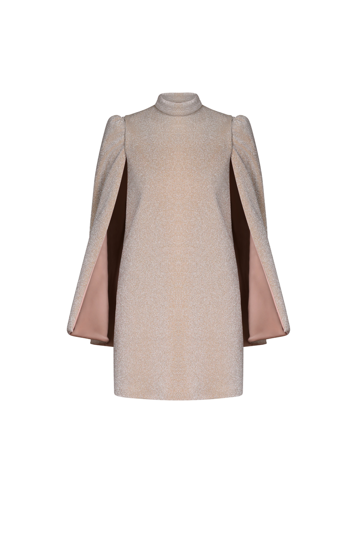 Sable Removable Sleeves Mini Dress