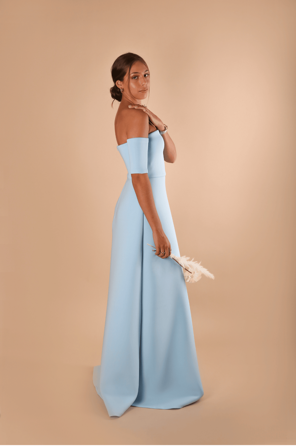 Off the shoulder sleeves Dress