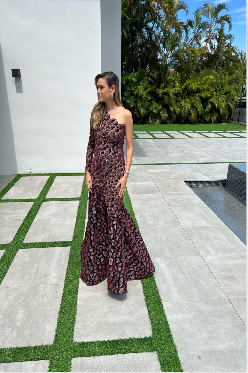 Burgandy Velvet Gown